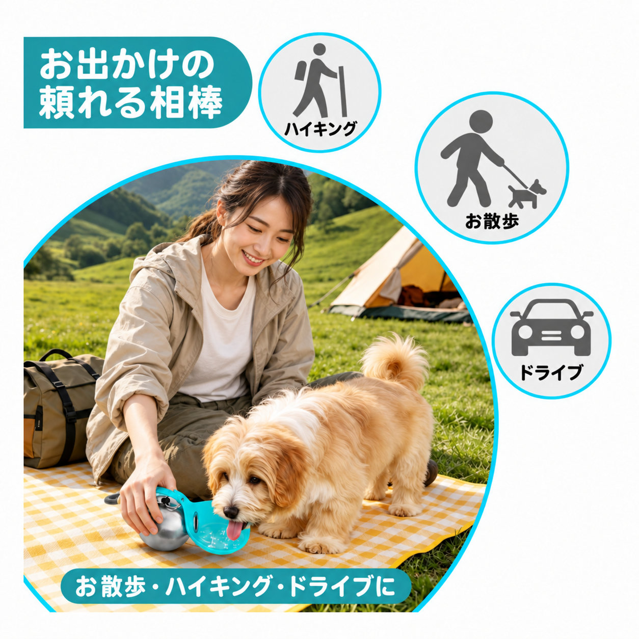 日本人女性と愛犬のお散歩・ハイキング・ドライブでの使用イメージ